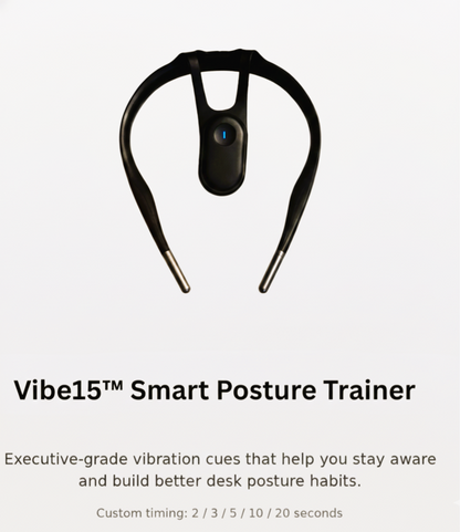 Vibe15™ Executive Posture Trainer Device